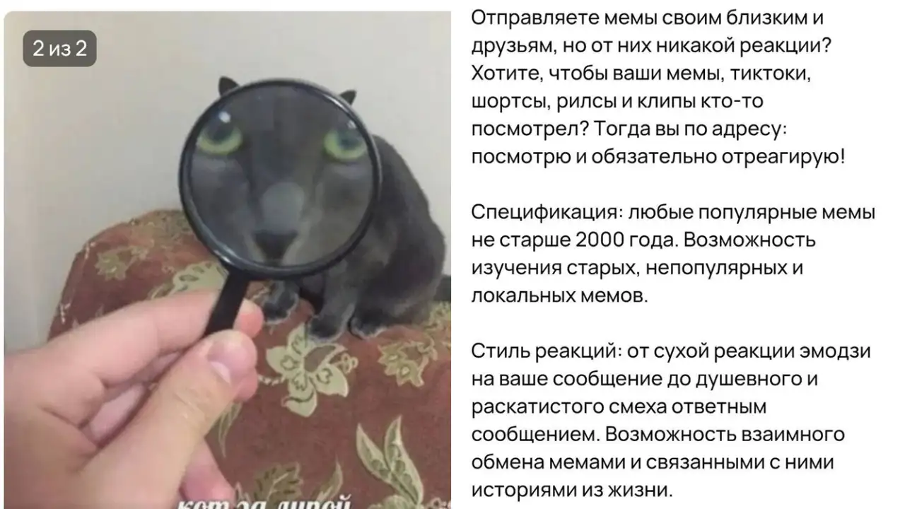 Скриншоты объявления.