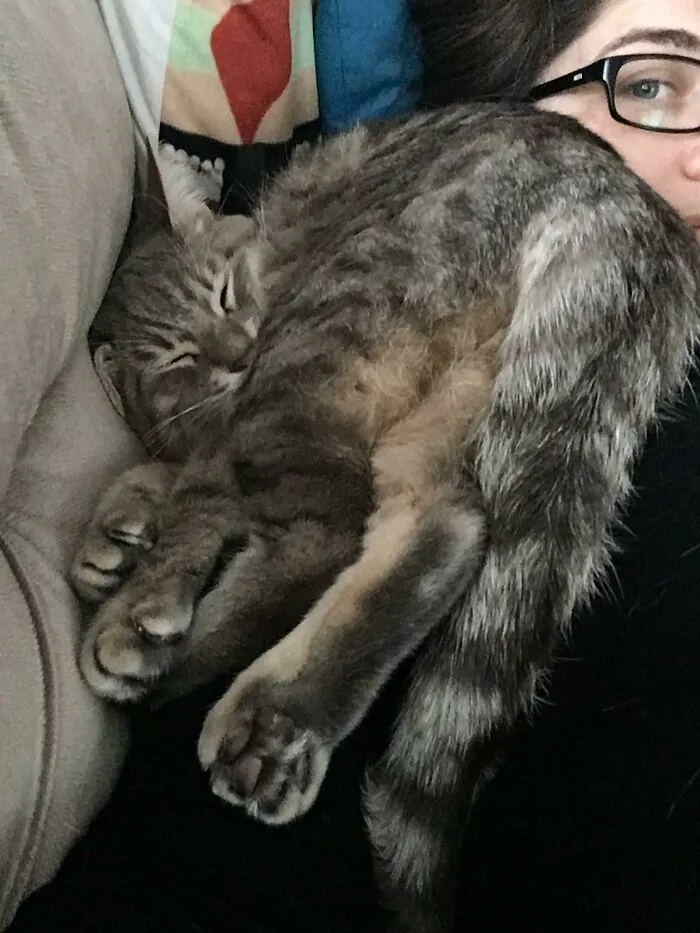 «Нас не было 10 дней. Я думаю, она скучала по нам». «Нас не было 10 дней. Я думаю, она скучала по нам».