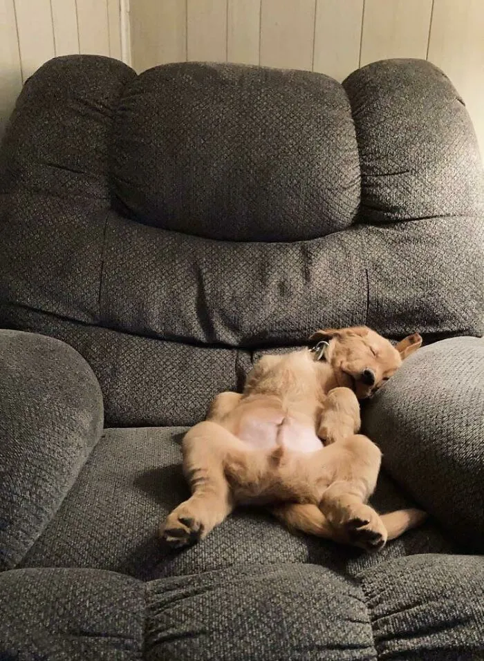 «Он устал». «Он устал».