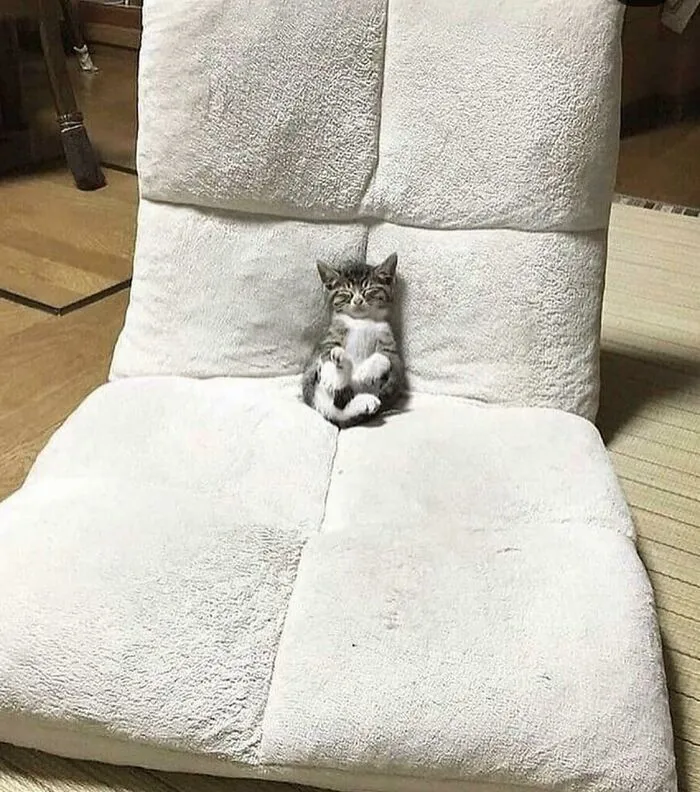 «Малыш устал». «Малыш устал».