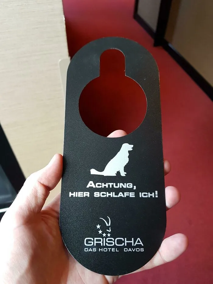 «В этом отеле разрешено проживание с собаками, и вы можете предупредить уборщицу, что вы оставили собаку в номере, пока катаетесь на лыжах. Перевод: Внимание, я здесь сплю!»