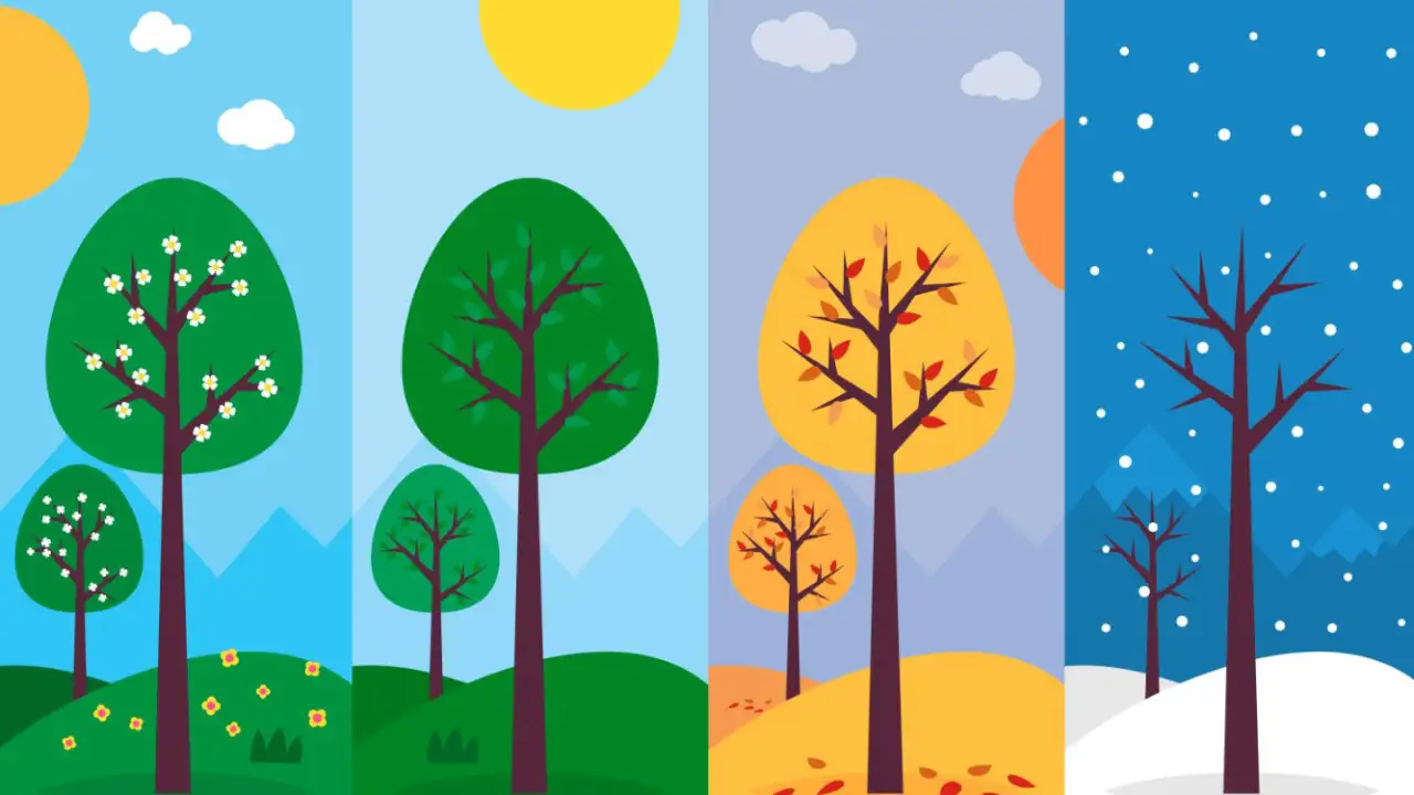 Времена года.