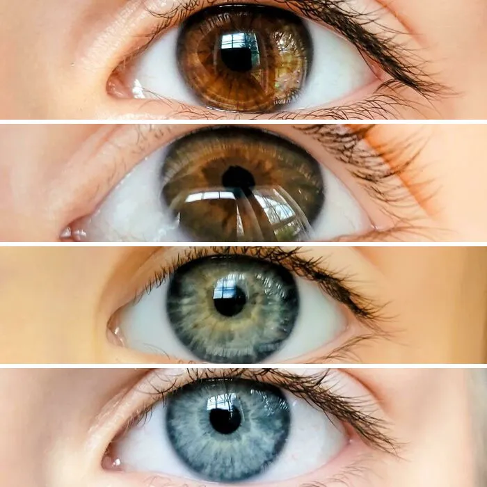 «У моего мужа карие глаза, а у меня голубые. Это глаза наших четырех детей».