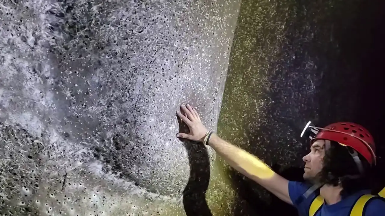 Самая большая паутина в мире.