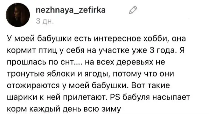 Пост внучки той самой бабушки. Пост внучки той самой бабушки.