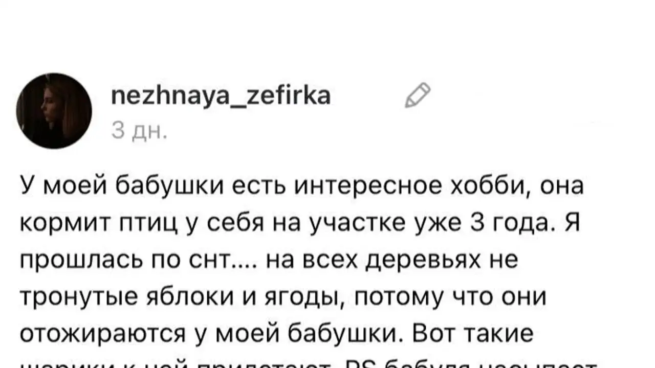 Скриншот поста.