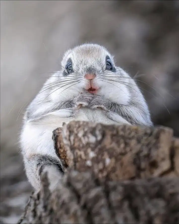 Такой контакт - большая редкость.