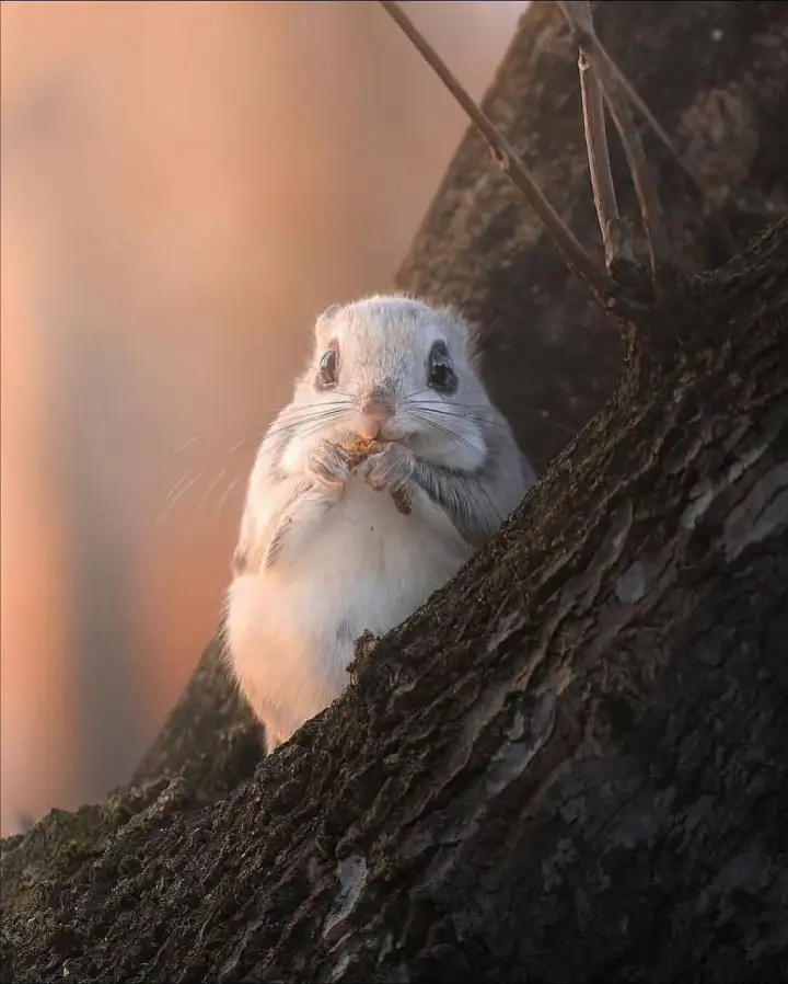 Ну прелесть же!