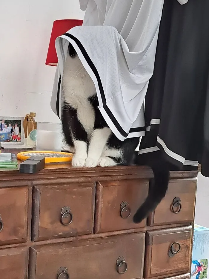 «Балбесина».