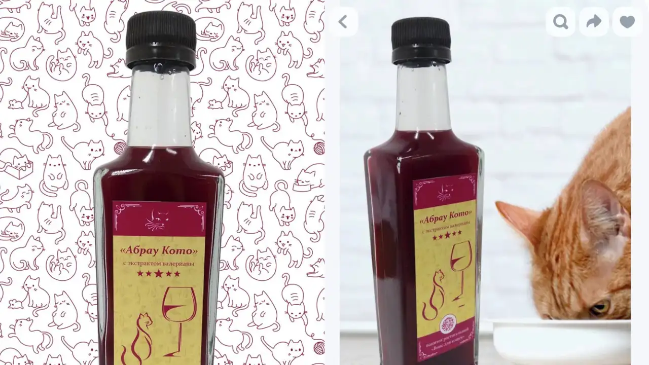 Кошачье вино «Абрау Кото».