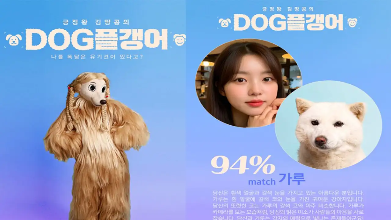 Сервис My Dog Twin.