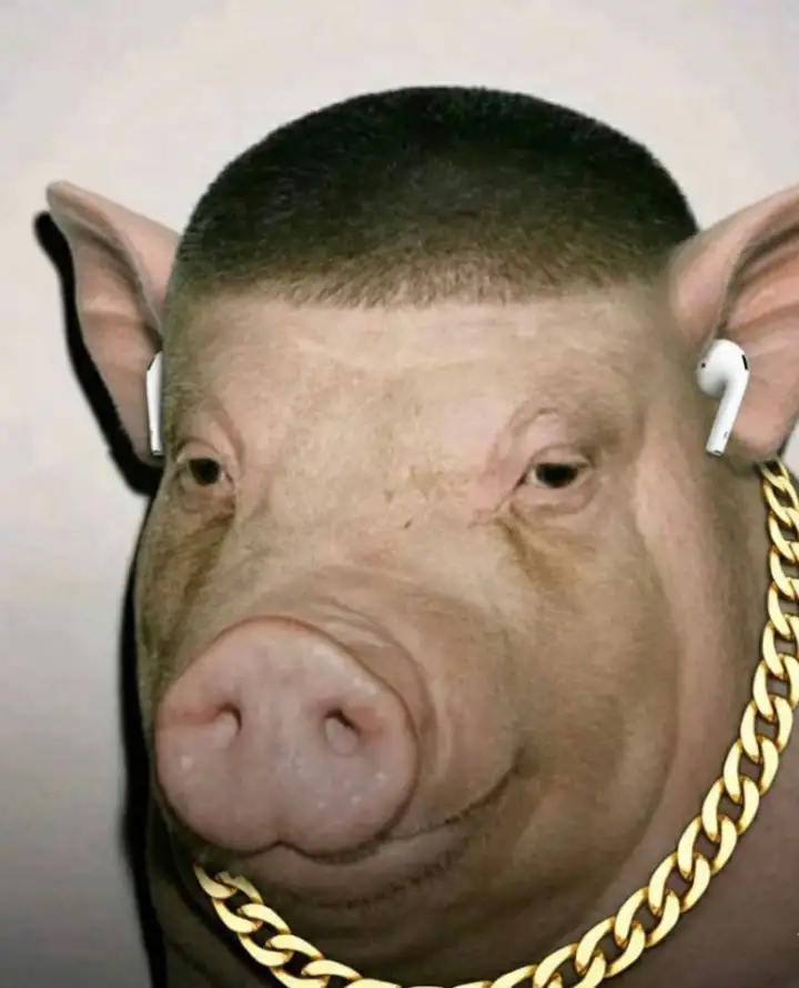Хрюша-рэпер. Хрюша-рэпер.
