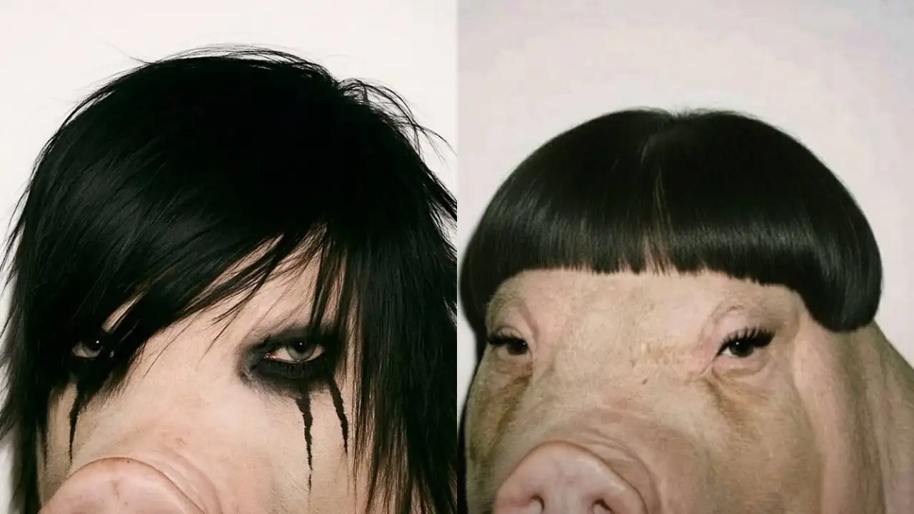 Свинья в разных образах.