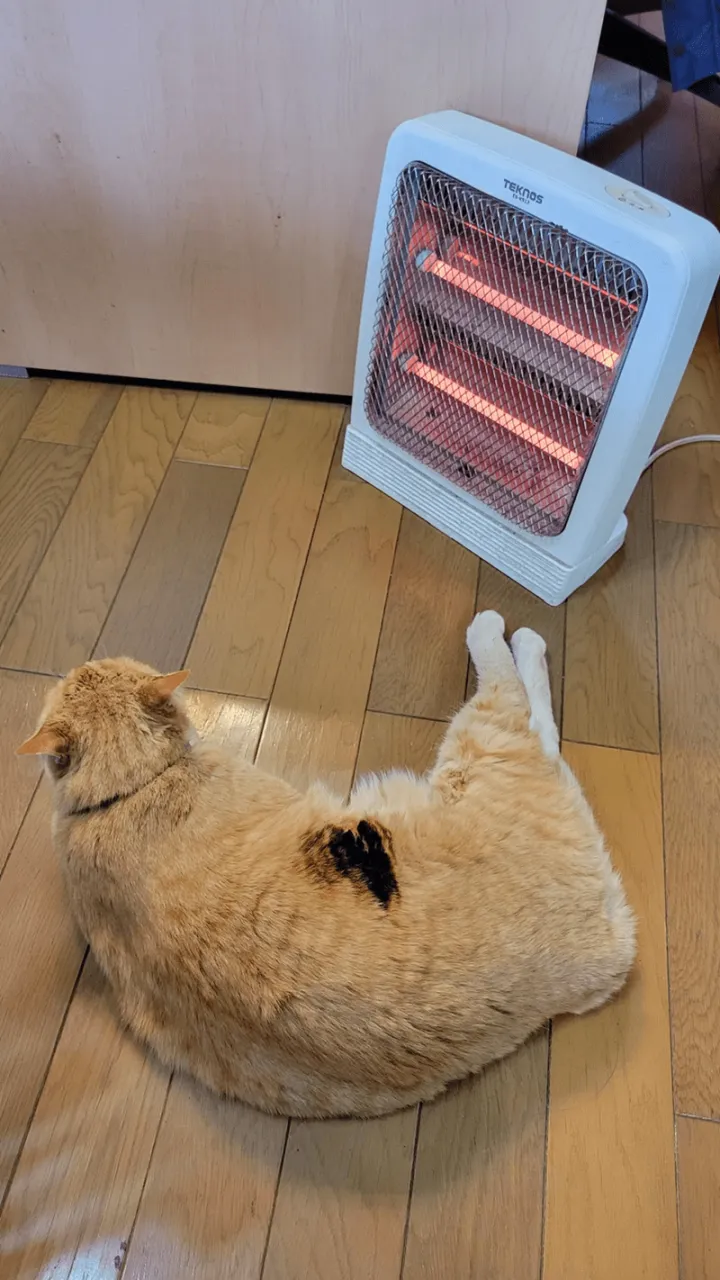 «Он так полюбил обогреватель, что решил немного поджарить себя».