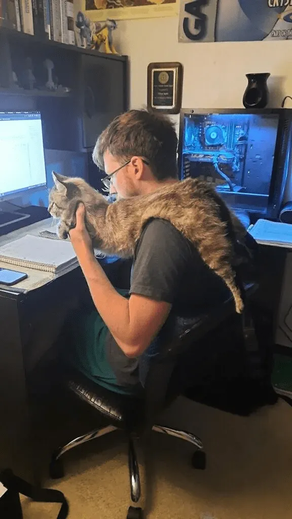 «Мой кот сидит у меня на плече, пока я делаю домашнее задание».