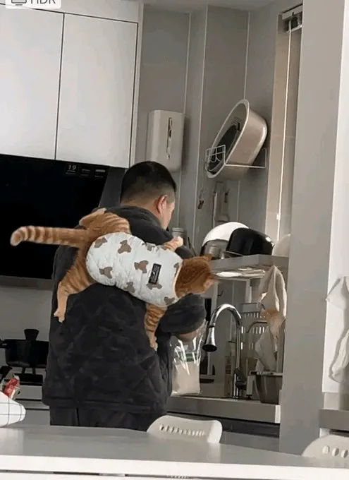 «Очевидно, это оранжевый кот».