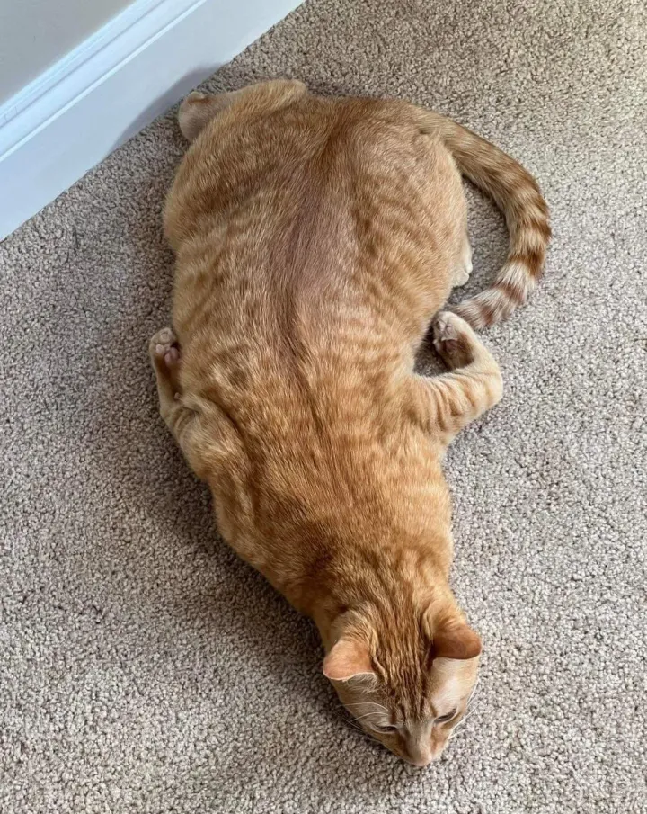 «Он сломался?»