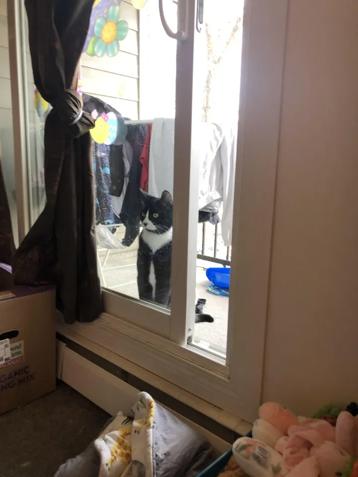 «Он полностью уверен, что эта дверь закрыта».