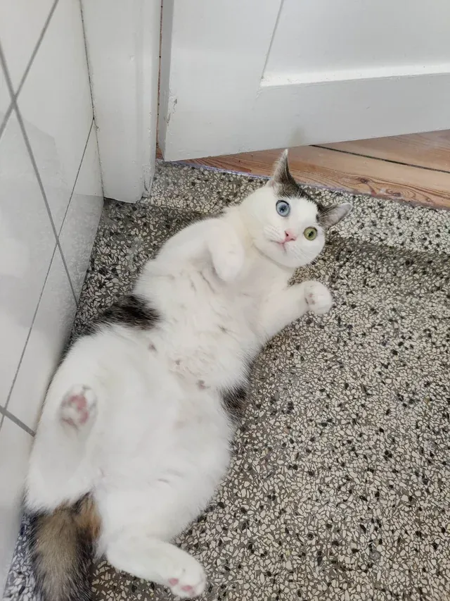 «Она провожала моего парня в туалет... Не думаю, что она была к этому готова». «Она провожала моего парня в туалет... Не думаю, что она была к этому готова».