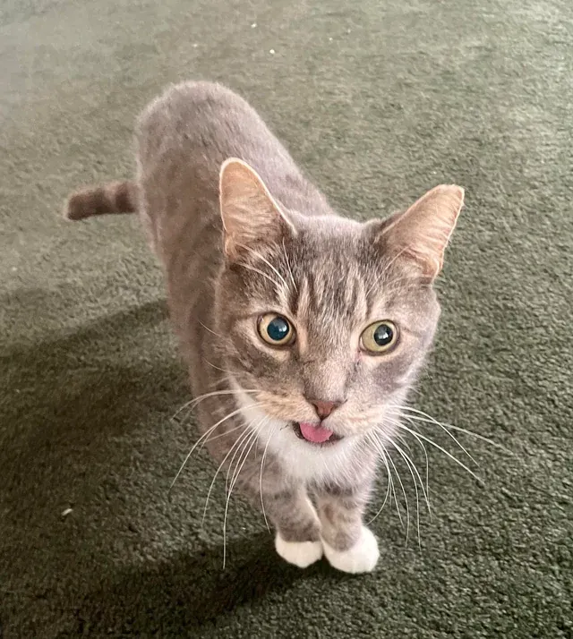 «Никаких мыслей». «Никаких мыслей».