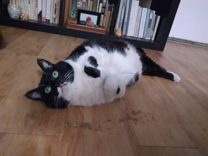 «Он позволяет другим думать за него». «Он позволяет другим думать за него».