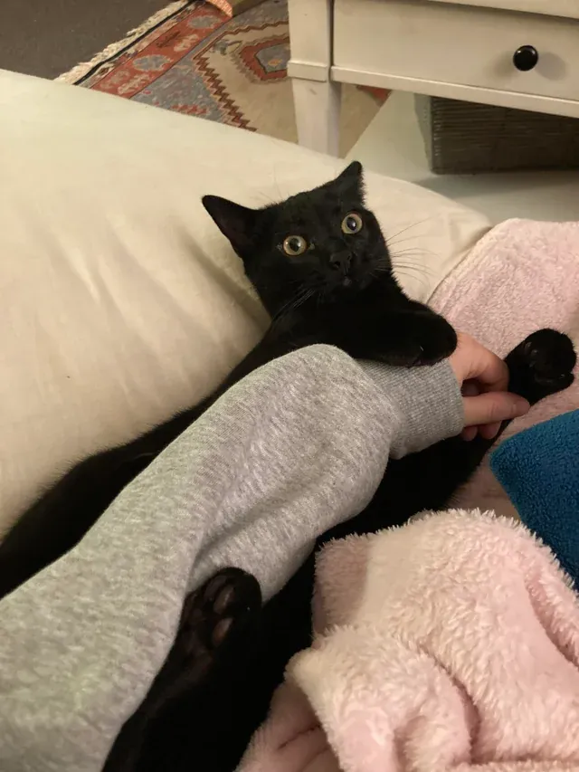 «Ничего нет, кроме шума ошибки Windows на повторе». «Ничего нет, кроме шума ошибки Windows на повторе».