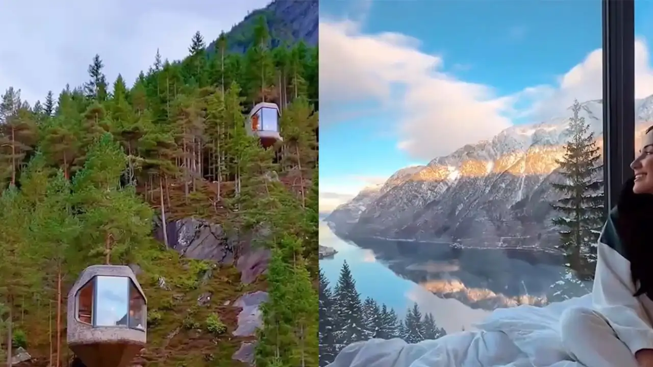 Отель Woodnest.