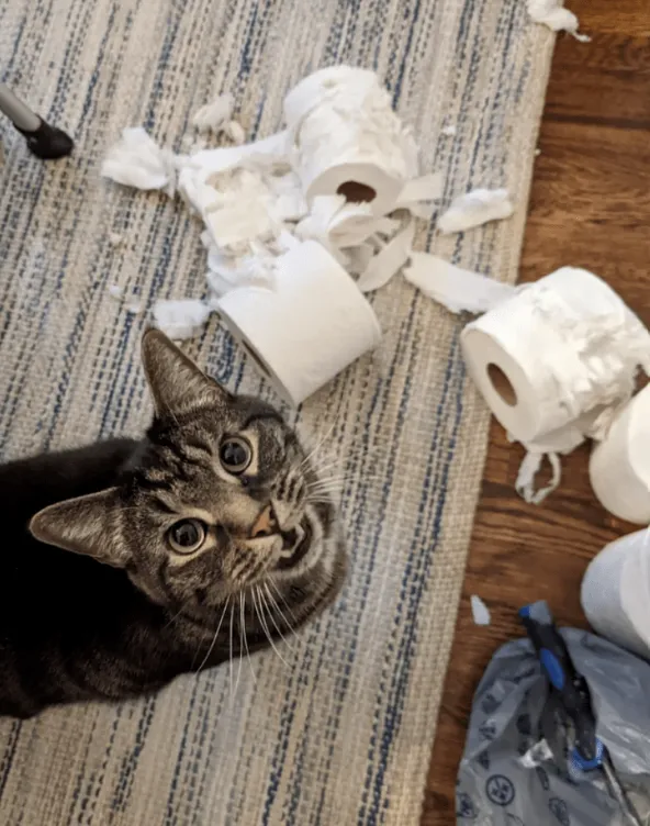 «Самый милый хулиган».