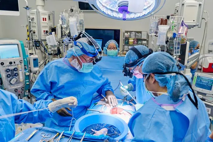Хирурги из Медицинской школы Нью-Йоркского университета пересаживают свиную почку.