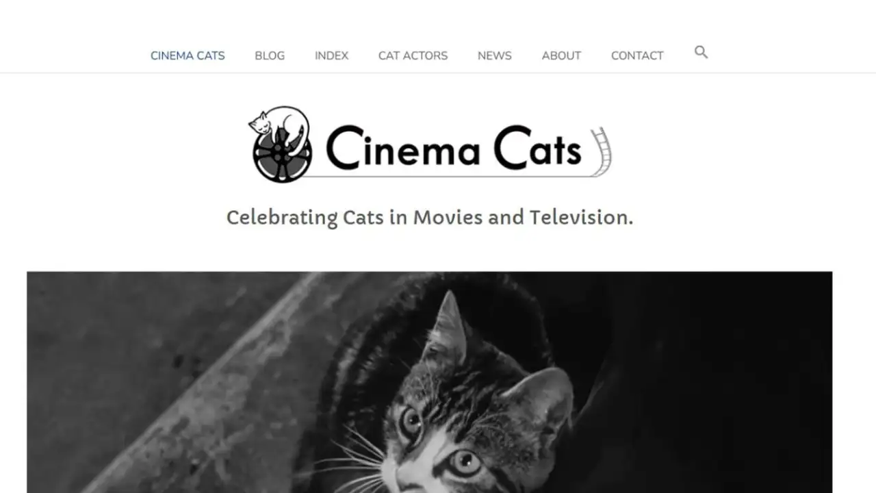 База данных кошек в кино.