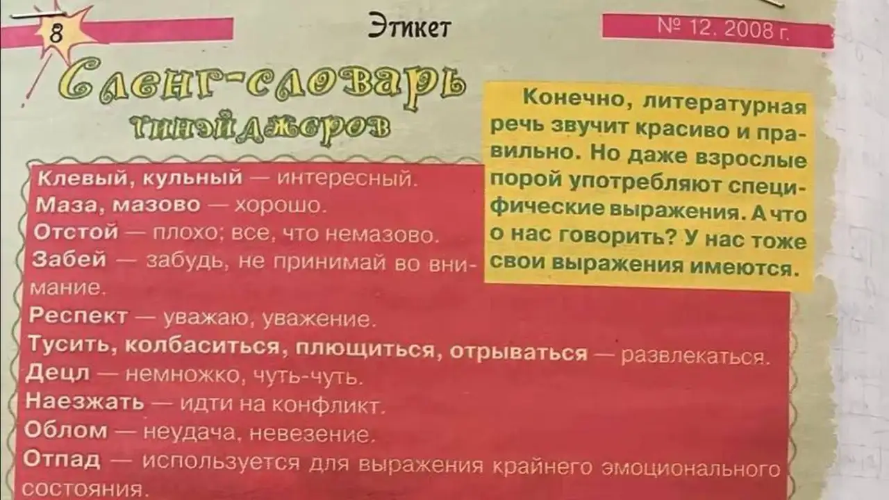 Сленг-словарь тинейджеров в 2008.