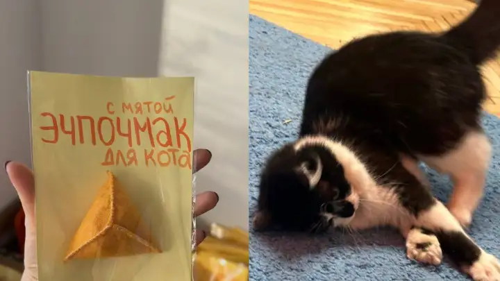 Татарский эчпочмак для кота: мастерица Litl Delo сделала игрушку с мятой внутри