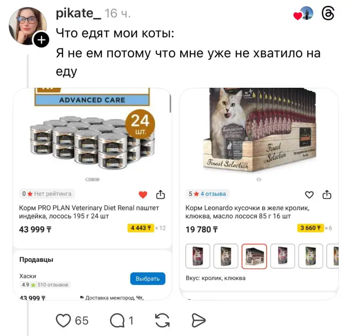 Pro Plan vs. ничего.