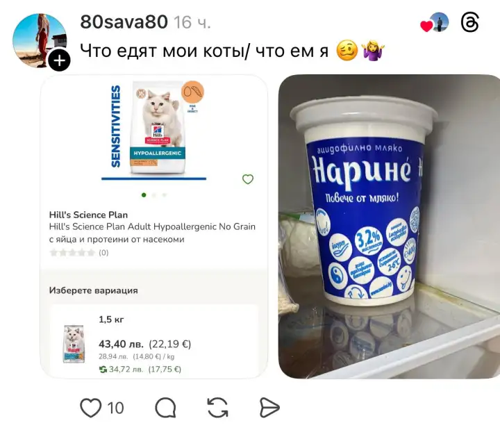 Hill's Science Plan vs. ацидофилин.