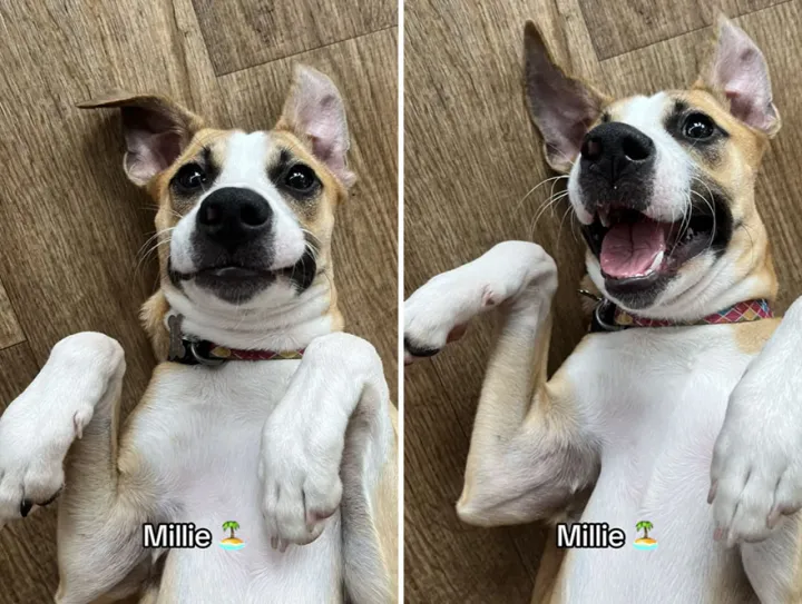 Милли.