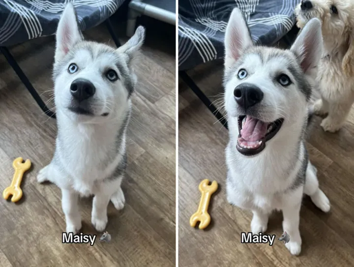 Мэйси.