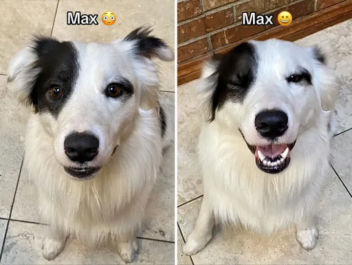 Макс.