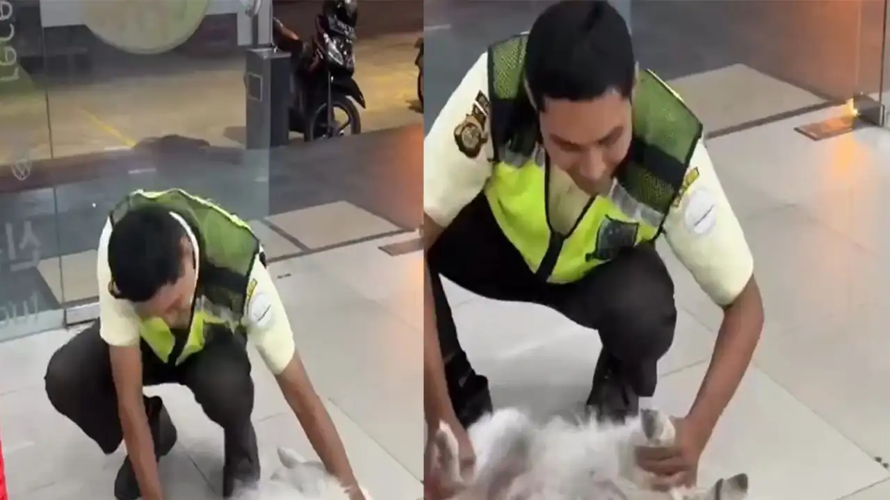 Охранник бережно «выкатил» уличного песиля.