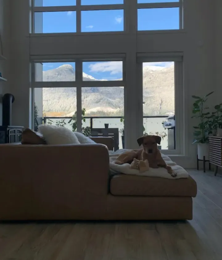 «Мы провели в этом месте прошлую зиму, и это было великолепно».