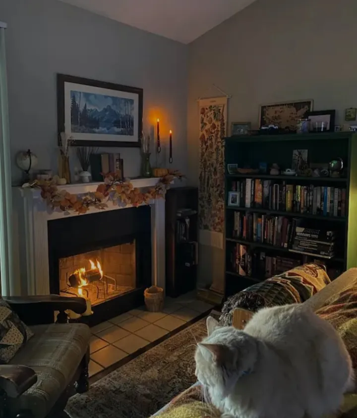 «Самое уютное место в нашем доме».