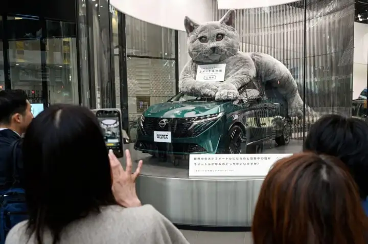 Котик произвёл фурор, что доказало: если вам нужно что-то продать, просто поместите рядом кота.