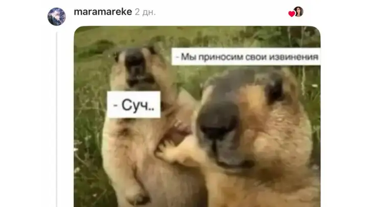 «Мне 21 и сегодня за наличку я купила...»: как девушка пошутила о покупке в Сети