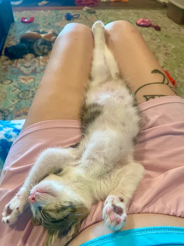 «Она сдалась».