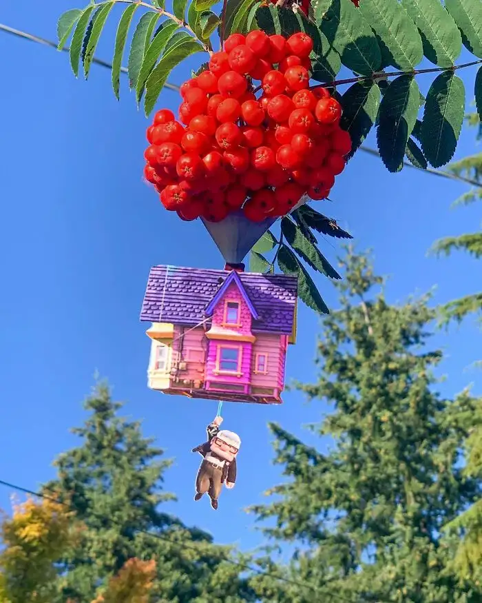 Карл Фредриксен взлетает на ягодах. Карл Фредриксен взлетает на ягодах.