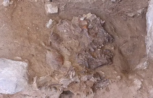 Череп женщины предположительно был раздавлен камнепадом уже после её смерти, поэтому археологам пришлось собрать 200 осколков воедино.