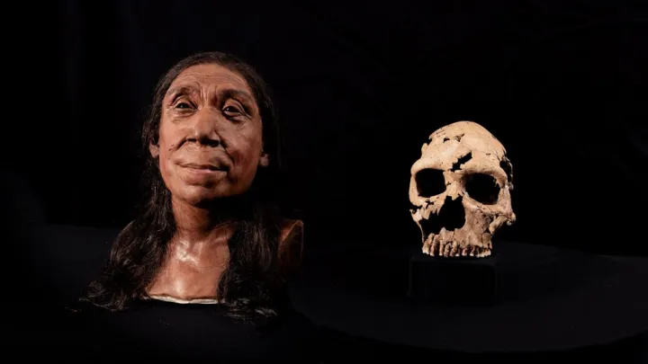 Воссозданная голова женщины из пещеры Шанидар.