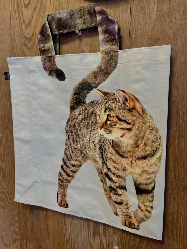 Шоппер в виде полосатого котика.