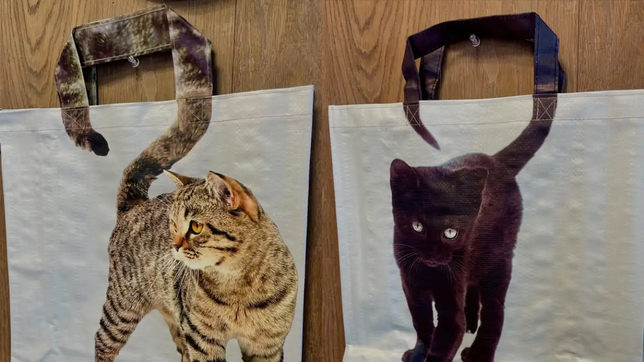 Шопперы в виде котиков.