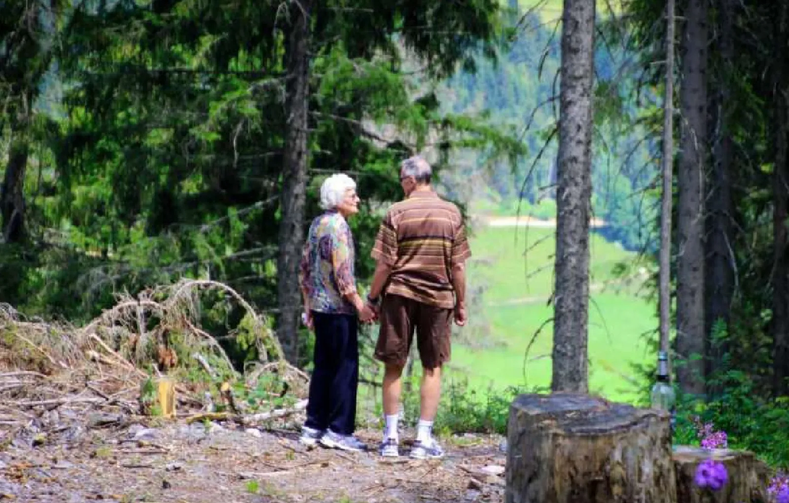 Пожилая пара гуляет в горах.