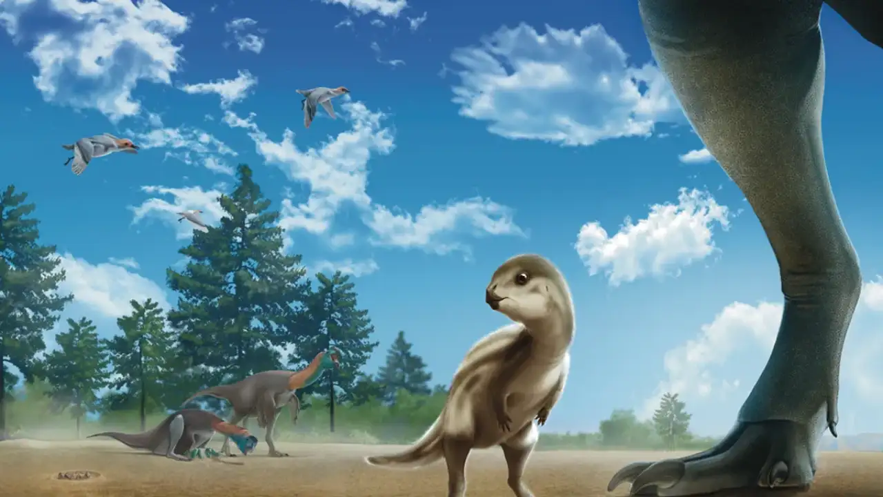 Художественное изображение Doolysaurus huhmini в его естественной среде обитания.